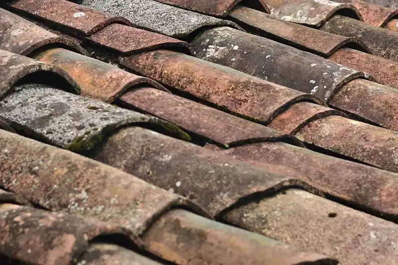 Condition of Tile Roof